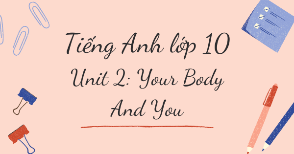 Từ vựng tiếng Anh lớp 10 | Unit 2: Your Body And You - Cơ thể của bạn